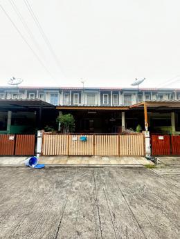 หมู่บ้านแฟมิลี่ซิตี้. นาป่า