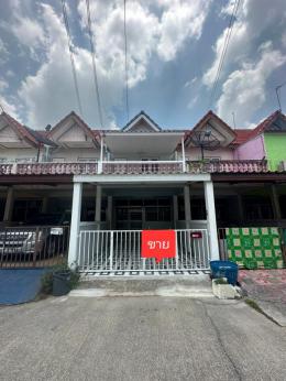 หมูู่บ้านอิสเทรินแลนด์ นาป่า