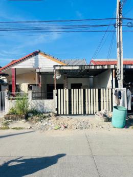 บ้านแฝดหนองตำลึง.  หนองตำลึง